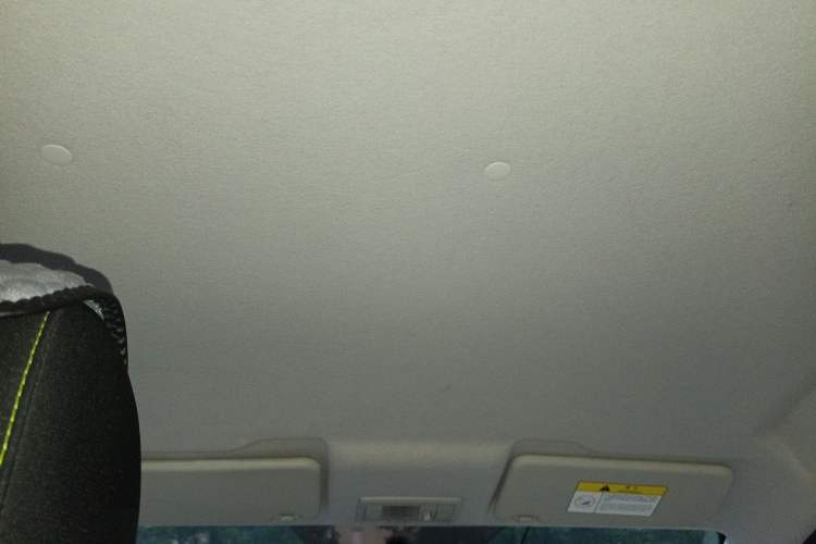 Used CHANGAN OSHAN Benni E-Star 2020 Xinyue Edition Lithium-NMC Headliner