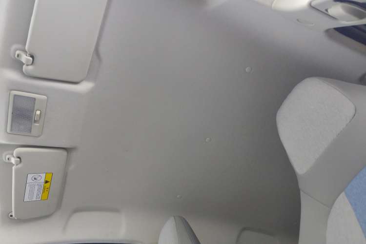 Used CHANGAN OSHAN Benni E-Star 2020 Heart Edition Lithium Iron Phosphate (31.95 kWh) Headliner