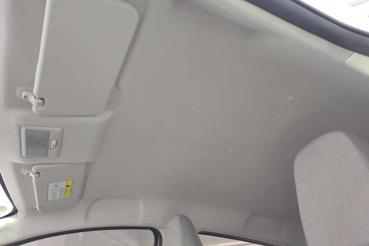 Used CHANGAN OSHAN Benni E-Star 2020 Heartbeat Edition NMC Lithium Headliner