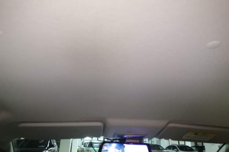 Used CHANGAN OSHAN Benni E-Star 2020 Heartbeat Edition NMC Lithium Headliner