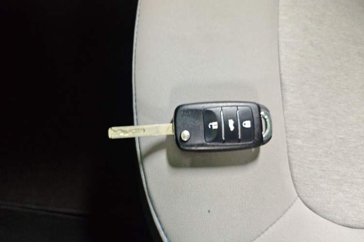 Used CHANGAN OSHAN Benni E-Star 2020 Heart Edition Lithium Iron Phosphate (31.95 kWh) Interior 1