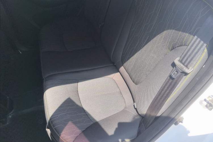 Used CHANGAN OSHAN Benni E-Star 2020 Heartbeat Edition NMC Lithium Interior 4