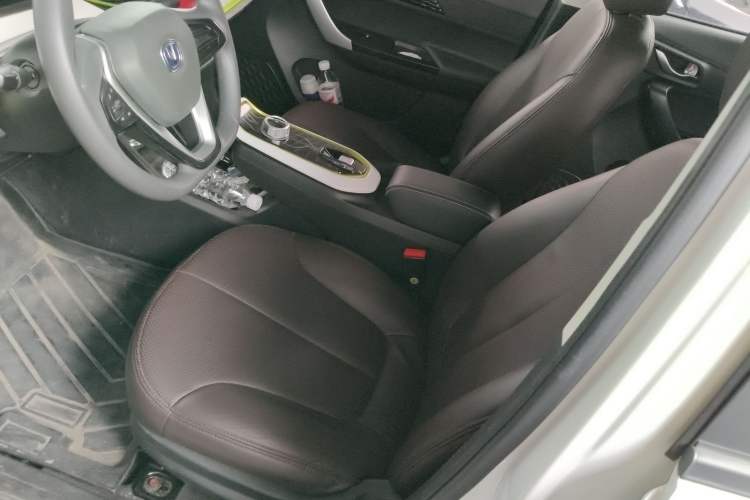 Used CHANGAN OSHAN Benni E-Star 2020 Heartbeat Edition NMC Lithium Left Front Seat