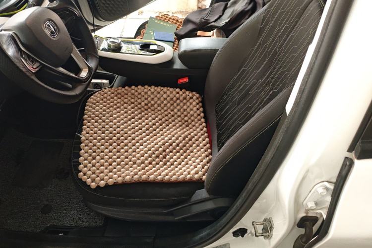 Used CHANGAN OSHAN Benni E-Star 2020 Heartbeat Edition NMC Lithium Left Front Seat