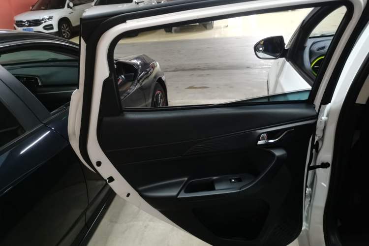 Used CHANGAN OSHAN Benni E-Star 2020 Heartbeat Edition NMC Lithium Left Rear Door Interior
