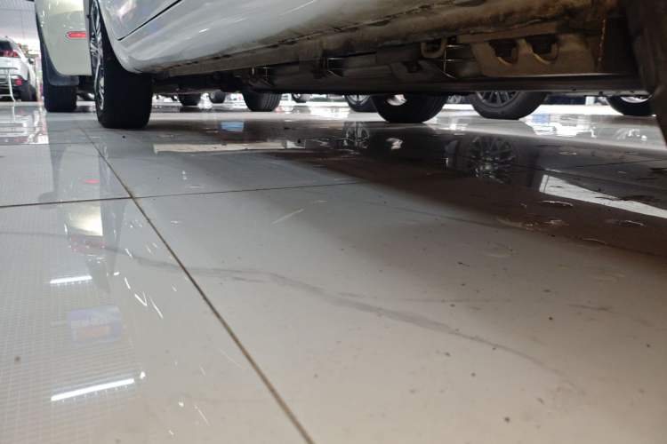 Used CHANGAN OSHAN Benni E-Star 2020 Heart Edition Lithium Iron Phosphate (31.95 kWh) Left Side Sill