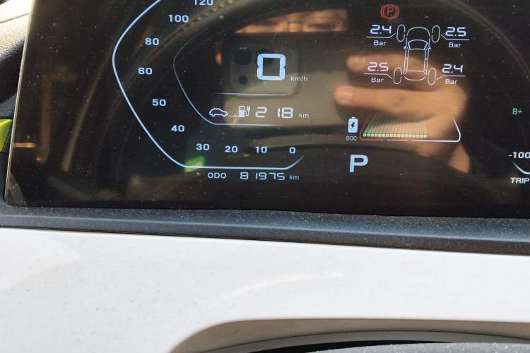 Used CHANGAN OSHAN Benni E-Star 2020 Heart Edition Lithium Iron Phosphate (31.18 kWh) Odometer Close Up
