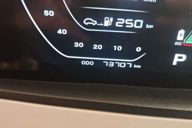 Used CHANGAN OSHAN Benni E-Star 2020 Heartbeat Edition NMC Lithium Odometer Close Up