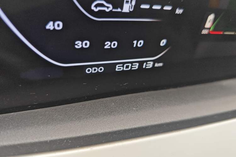 Used CHANGAN OSHAN Benni E-Star 2020 Heart Edition Lithium Iron Phosphate (31.95 kWh) Odometer Close Up