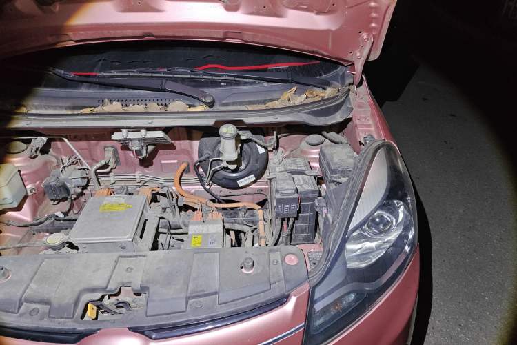 Used CHANGAN OSHAN Benni E-Star 2021 National Edition Xin Yue Version (Fast-Charging Edition) Lithium Iron Phosphate (31.95 kWh) Engine Bay Left