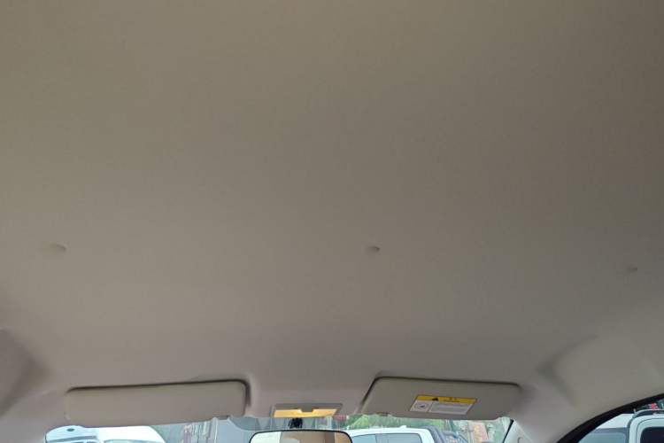 Used CHANGAN OSHAN Benni E-Star 2021 National Edition XinYi Edition Lithium Iron Phosphate (31.86 kWh) Headliner