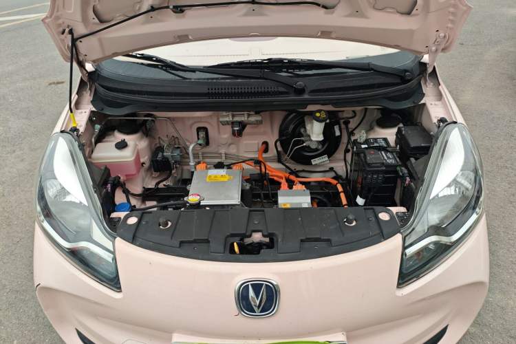 Used CHANGAN OSHAN Benni E-Star 2022 National Edition Colorful Limited Edition (Fast-Charging Version) Lithium Iron Phosphate Engine Bay