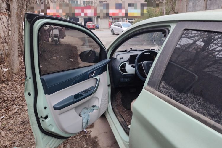 Used CHANGAN OSHAN Benni E-Star 2022 Qingxin Edition Colorful Model Lithium Iron Phosphate Driver Seat