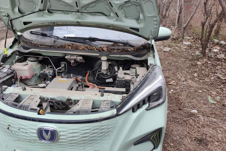 Used CHANGAN OSHAN Benni E-Star 2022 Qingxin Edition Colorful Model Lithium Iron Phosphate Engine Bay Left