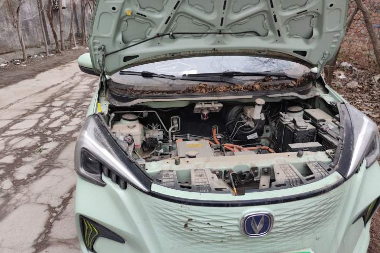 Used CHANGAN OSHAN Benni E-Star 2022 Qingxin Edition Colorful Model Lithium Iron Phosphate Engine Bay Right