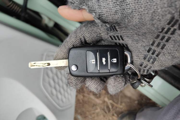 Used CHANGAN OSHAN Benni E-Star 2022 Qingxin Edition Colorful Model Lithium Iron Phosphate Vehicle Key