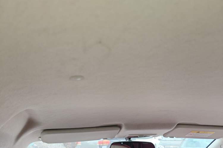 Used CHANGAN OSHAN Benni E-Star 2022 National Edition Colorful Limited Edition (Fast-Charging Version) Lithium Iron Phosphate Headliner
