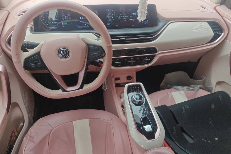 Used CHANGAN OSHAN Benni E-Star 2022 Qingxin Edition Colorful Model Lithium Iron Phosphate Center Console