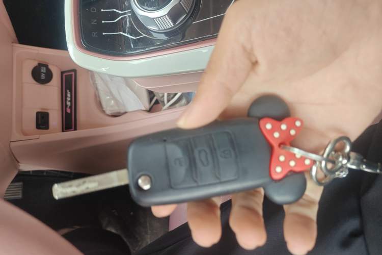 Used CHANGAN OSHAN Benni E-Star 2022 Qingxin Edition Colorful Model Lithium Iron Phosphate Vehicle Key