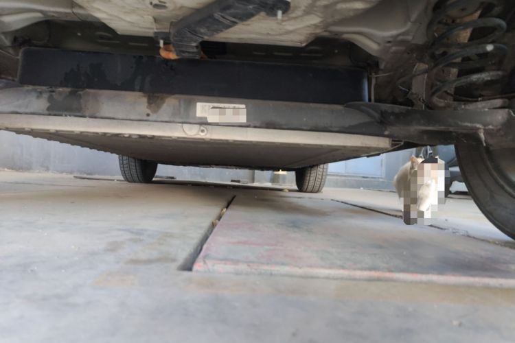 Used CHANGAN OSHAN Benni E-Star 2022 Qingxin Edition Colorful Model Lithium Iron Phosphate Chassis Rear