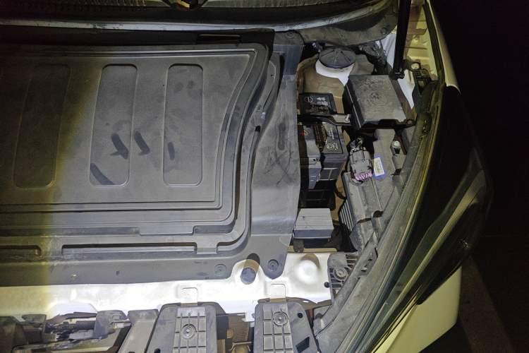 Used CHANGAN OSHAN Benni E-Star 2022 Qingxin Edition Colorful Model Lithium Iron Phosphate Engine Bay Left