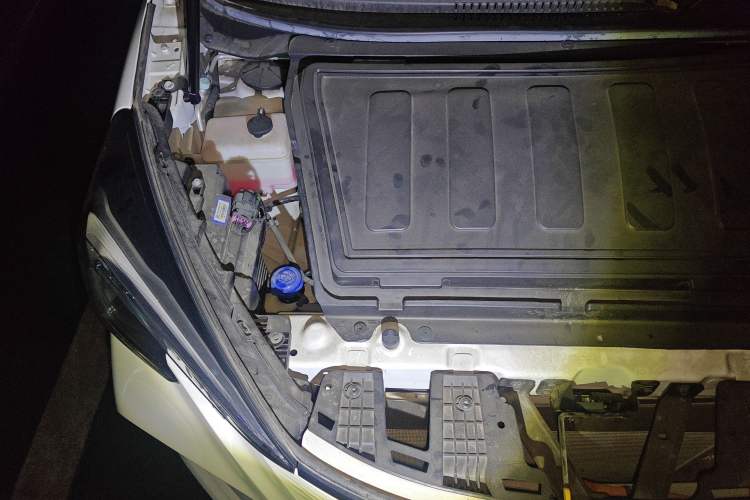 Used CHANGAN OSHAN Benni E-Star 2022 Qingxin Edition Colorful Model Lithium Iron Phosphate Engine Bay Right