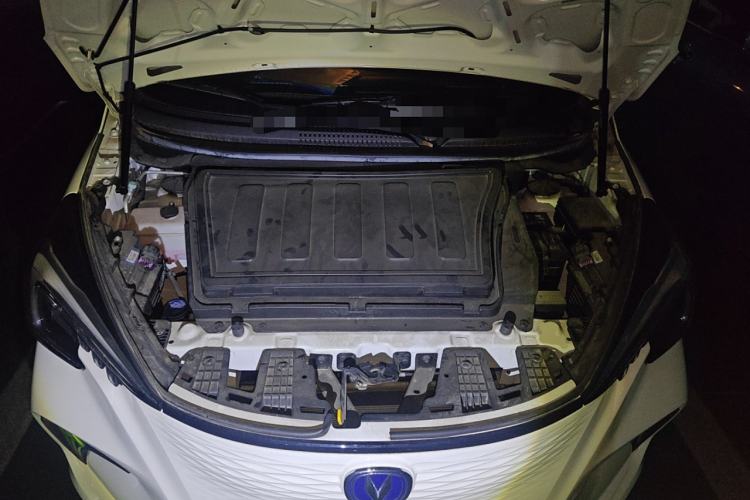 Used CHANGAN OSHAN Benni E-Star 2022 Qingxin Edition Colorful Model Lithium Iron Phosphate Engine Bay