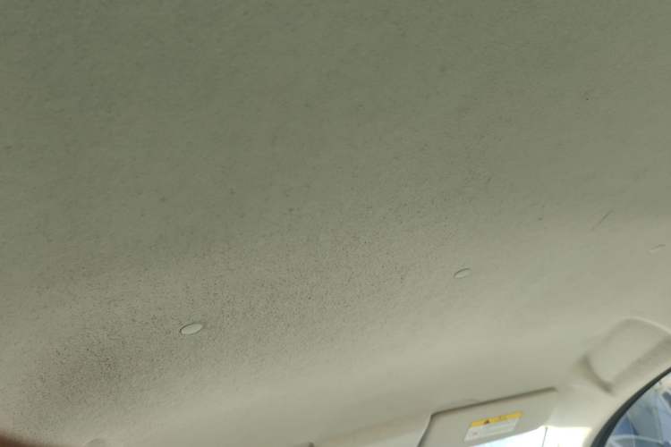 Used CHANGAN OSHAN Benni E-Star 2022 Qingxin Edition Colorful Model Lithium Iron Phosphate Headliner