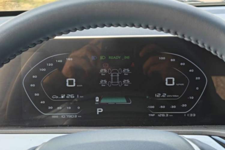 Used CHANGAN OSHAN Benni E-Star 2022 Charming Edition Colorful Model Lithium-Ion Battery Odometer Close Up