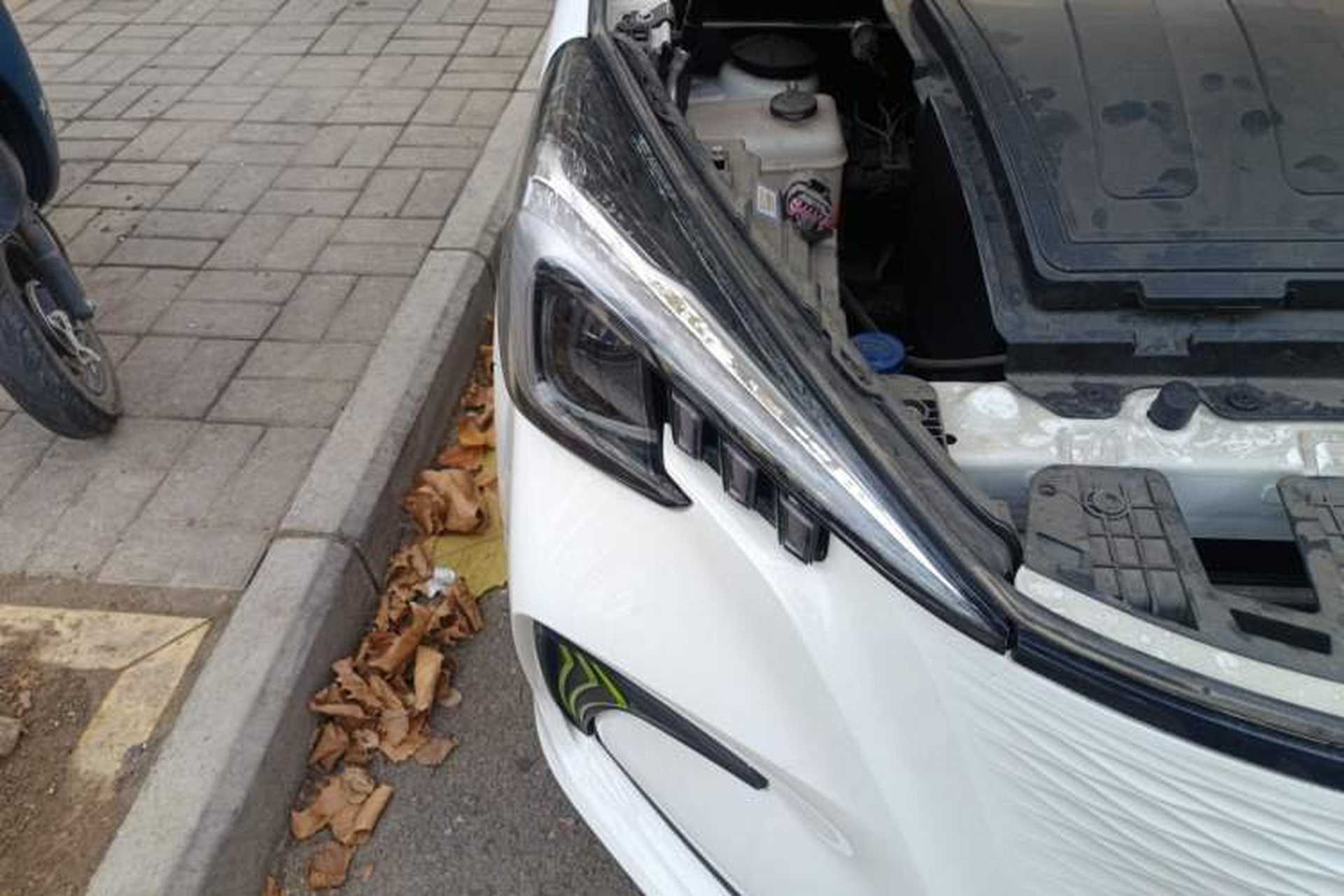 Used CHANGAN OSHAN Benni E-Star 2022 Qingxin Edition Colorful Model Lithium Iron Phosphate Right Front Headlight