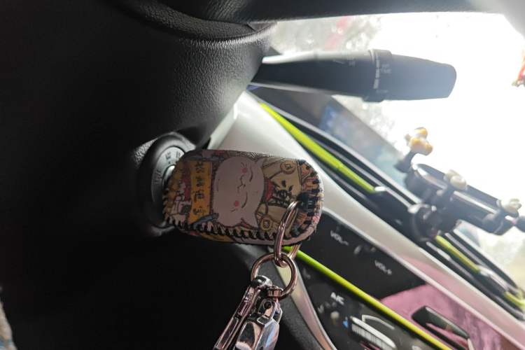 Used CHANGAN OSHAN Benni E-Star 2022 Qingxin Edition Colorful Model Lithium-NMC Vehicle Key