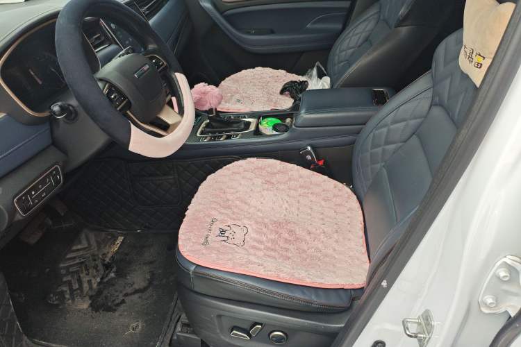Used CHANGAN OSHAN COS1 2018 1.5T Automatic Smart 7-Seater Left Front Seat