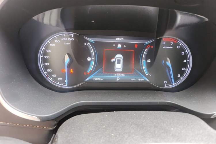 Used CHANGAN OSHAN COS1 2020 GT 2.0T Automatic YueShang Model 6 Seats Odometer Close Up