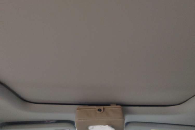 Used CHANGAN OSHAN COS1 2020 1.5T Automatic YueShang Model 6 Seats Headliner