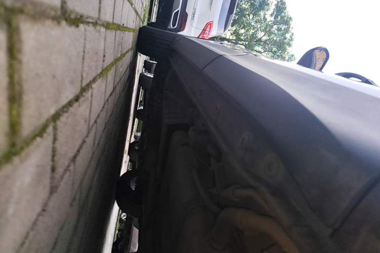 Used CHANGAN OSHAN COS1 2020 1.5T Manual Fashion Edition 7-Seater Left Side Sill