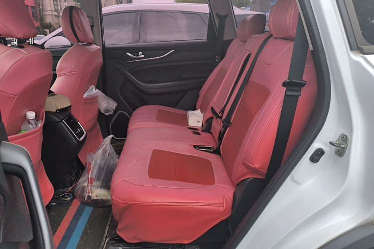 Used CHANGAN OSHAN COS1 2020 GT 2.0T Automatic Luxury 7-Seater Left Rear Seat