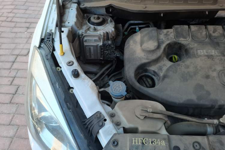 Used CHANGAN OSHAN COS5 2019 1.6L Automatic Classic Version China V Standard Engine Bay Right