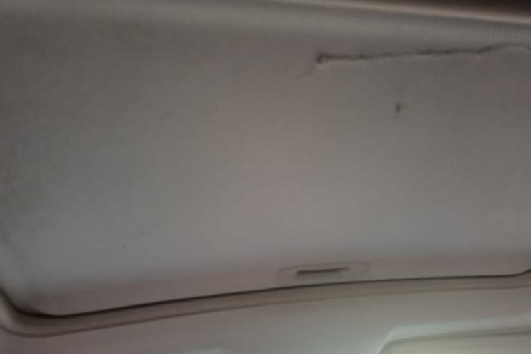 Used CHANGAN OSHAN COS5 2019 1.6L Automatic Classic Version China V Standard Headliner