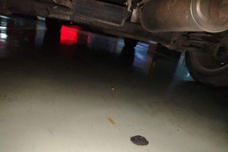 Used CHANGAN OSHAN COS5 2021 1.6L Manual Luxury Model Chassis Rear