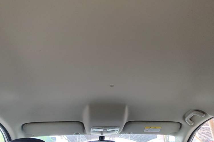 Used CHANGAN OSHAN Cosmos 2019 1.5T Automatic Comfort Edition China VI Standard Headliner