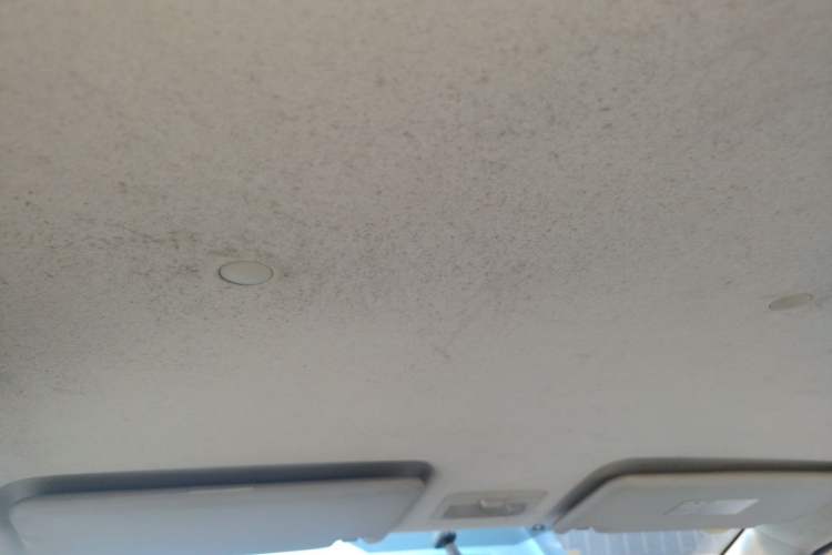 Used CHANGAN OSHAN Olisway 2013 1.2L Manual Elite Model Headliner