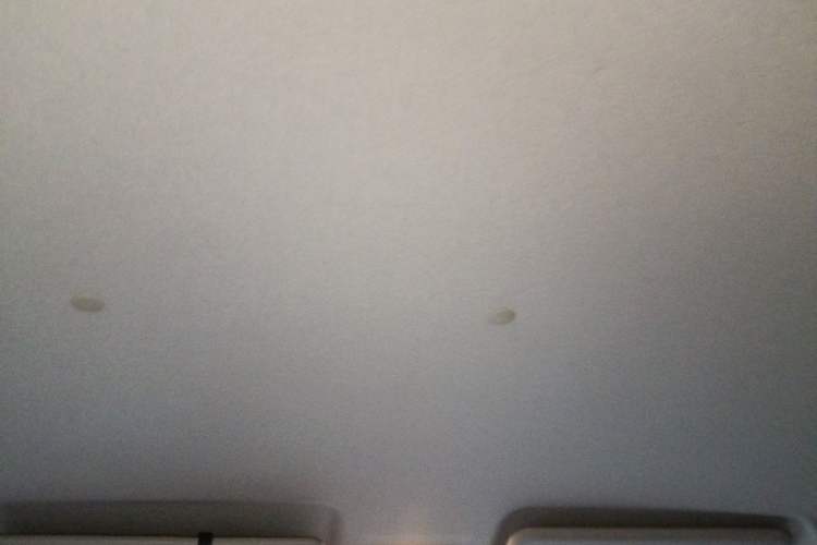 Used CHANGAN OSHAN Olisway 2013 1.2L Manual Elite Model Headliner