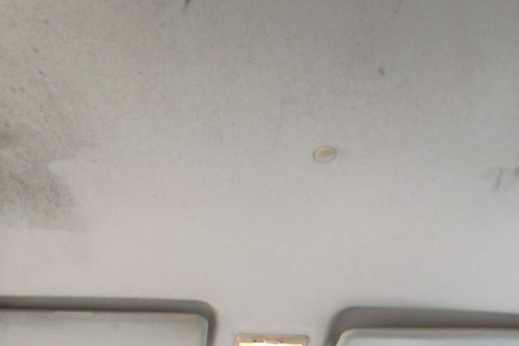 Used CHANGAN OSHAN Olisway 2013 1.4L Manual Jingxiang Model Headliner
