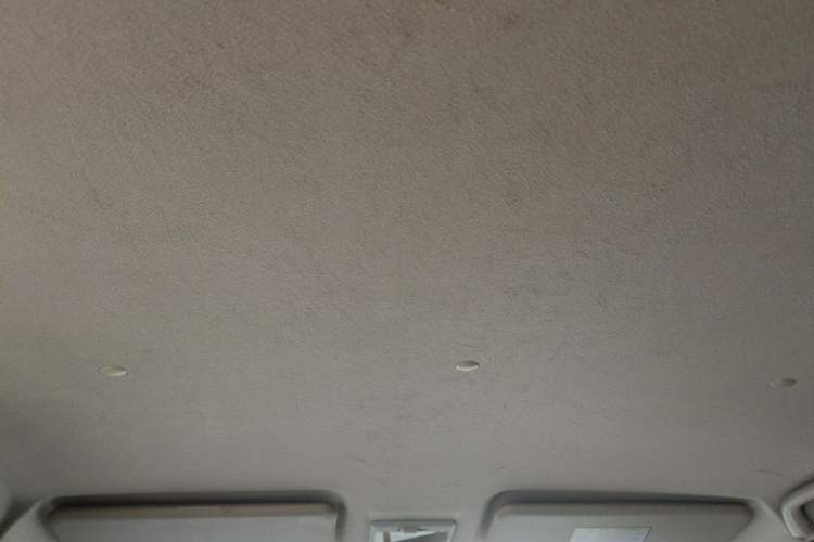 Used CHANGAN OSHAN Olisway 2013 1.2L Manual Elite Model Headliner