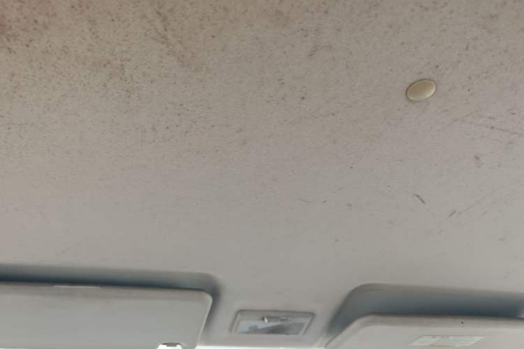 Used CHANGAN OSHAN Olisway 2013 1.2L Manual Elite Model Headliner