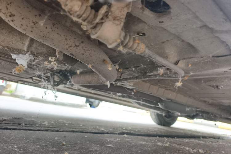 Used CHANGAN OSHAN Olisway 2013 1.2L Manual Comfort Model Chassis Rear Right