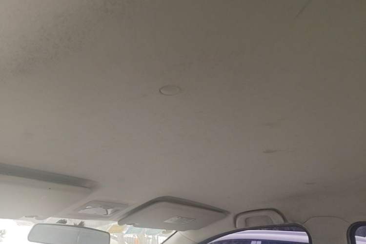 Used CHANGAN OSHAN Olisway 2013 1.2L Manual Comfort Model Headliner