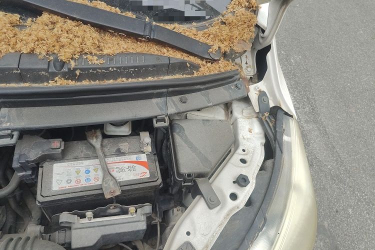 Used CHANGAN OSHAN Olisway 2013 1.2L Manual Elite Model Engine Bay Left