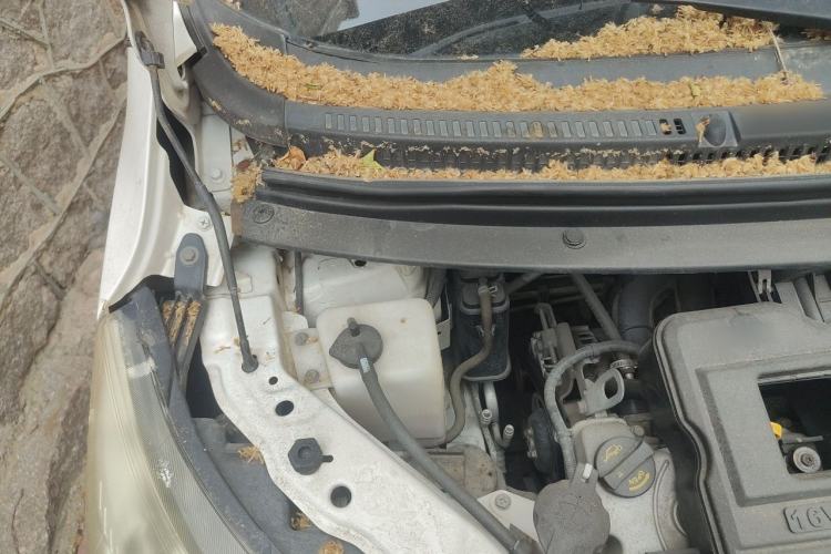 Used CHANGAN OSHAN Olisway 2013 1.2L Manual Elite Model Engine Bay Right