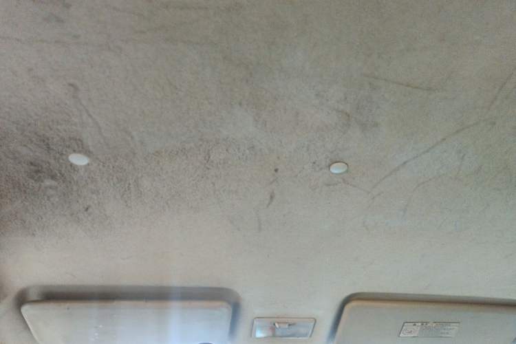 Used CHANGAN OSHAN Olisway 2013 1.4L Manual Jingxiang Model Headliner